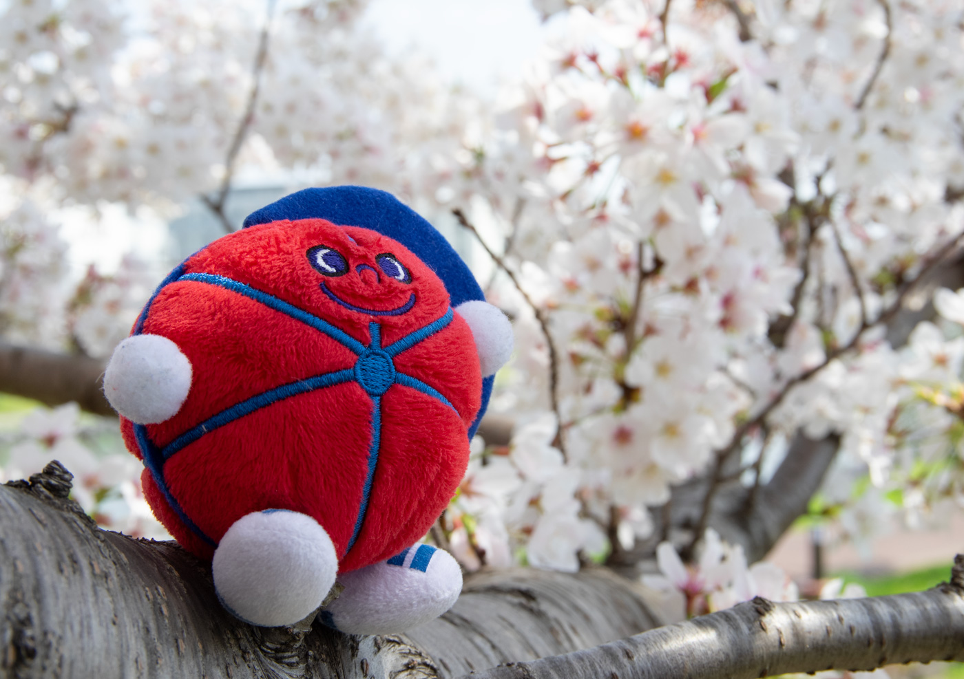 プライバシーマークの更新認定を受けました